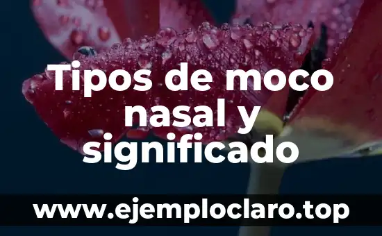 Tipos de logotipos y su significado 6 Tipos de moco nasal y significado