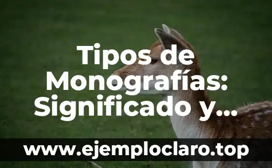 Tipos de Monografías: Significado y Concepto