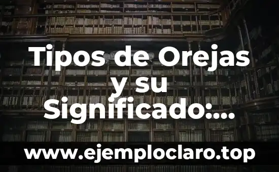 Tipos de Orejas y su Significado: Una Guía Completa