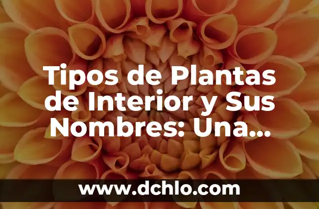 Cómo Ser Feliz con Uno Mismo: Descubre el Secreto de la Felicidad Interior 8 Tipos de Plantas de Interior y Sus Nombres: Una Guía Completa