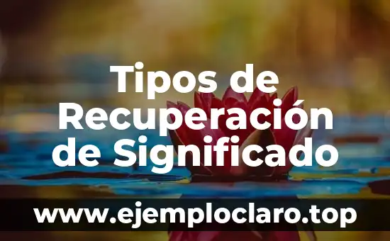 Tipos de Recuperación de Significado