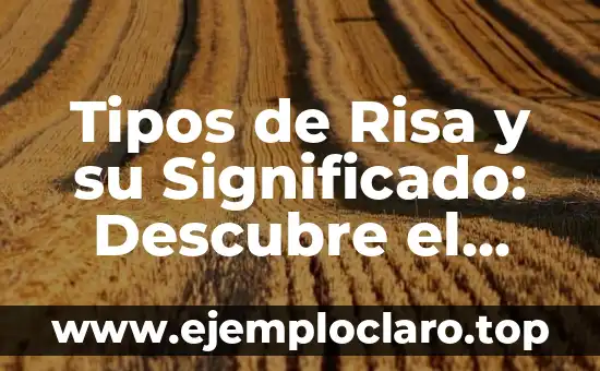Tipos de Risa y su Significado: Descubre el Poder de la Risa
