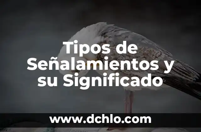 Simbolos de Señalamientos y su Significado 8 Tipos de Señalamientos y su Significado