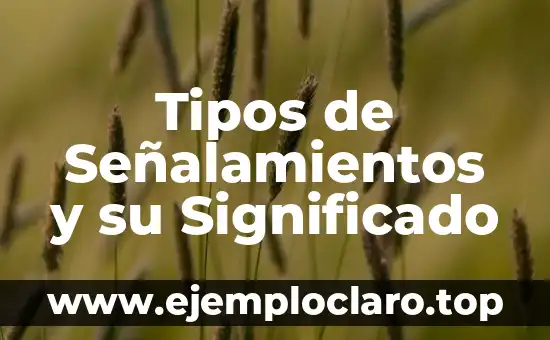 Tipos de Señalamientos y su Significado