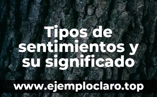 Tipos de sentimientos y su significado