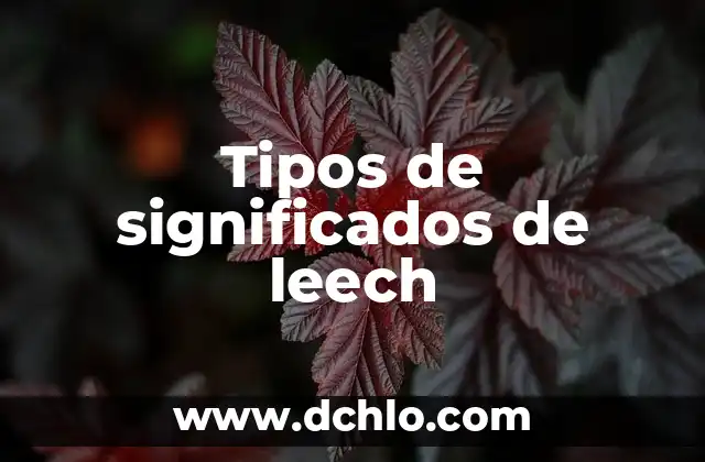 Tipos de piedras y su significado 3 Tipos de significados de leech