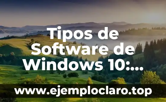 ¿Qué es el Software y Hardware? Definición y Ejemplos 3 Tipos de Software de Windows 10: Descubre las Opciones