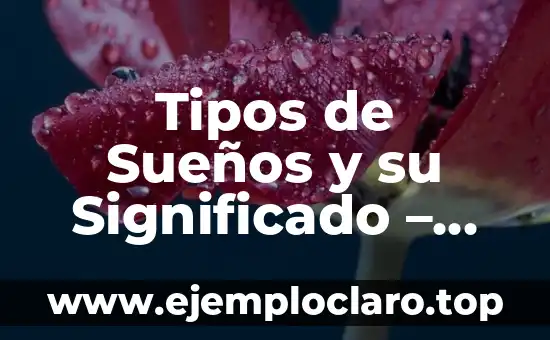 Tipos de logotipos y su significado 3 Tipos de Sueños y su Significado – Descubre el Lenguaje de tus Sueños