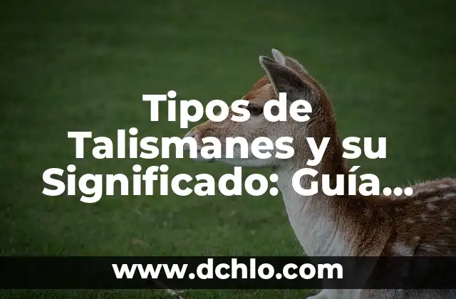 Tipos de Textos y sus Significados 7 Tipos de Talismanes y su Significado: Guía Completa