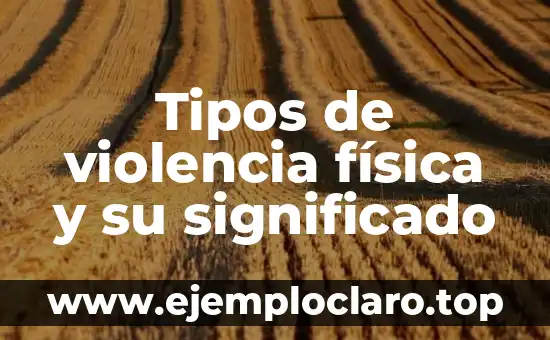 El Principio de Bernoulli y su Impacto en la Física de Fluidos 8 Tipos de violencia física y su significado