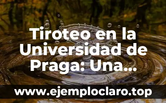 Tiroteo en la Universidad de Praga: Una Tragedia que Conmocionó al Mundo