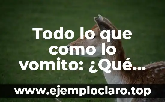 Todo lo que como lo vomito: ¿Qué pasa cuando el cuerpo no puede procesar los alimentos?
