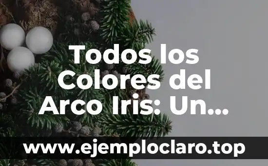 ¿Es Bueno Lavar el Pelo Todos los Días? Descubre la Verdad 8 Todos los Colores del Arco Iris: Un Viaje por el Espectro de la Luz