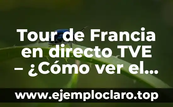 La Primera Etapa del Tour de Francia: Todo lo que Necesitas Saber 8 Tour de Francia en directo TVE – ¿Cómo ver el Tour de Francia en vivo en TVE?