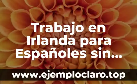 Capital de Trabajo: Concepto Fundamental en Finanzas Empresariales 8 Trabajo en Irlanda para Españoles sin Inglés: Oportunidades y Desafíos