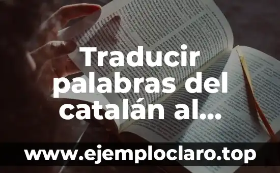 Tour de Force Significado en Español 3 Traducir palabras del catalán al español – Guía práctica