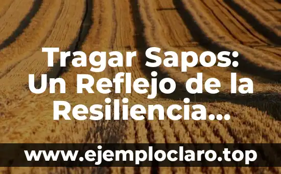 Excretar - Un Viaje al Corazón de la Fisiología Humana 4 Tragar Sapos: Un Reflejo de la Resiliencia Humana