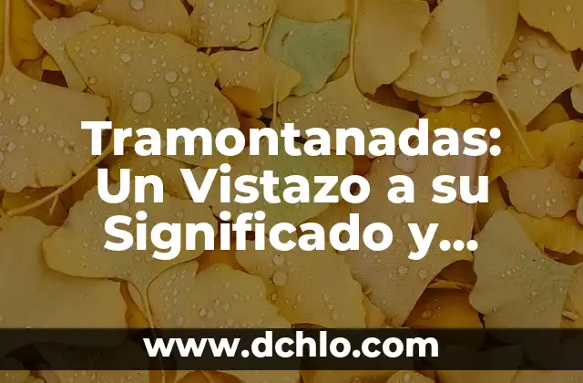 Estanzuela: Un Vistazo a la Estructura Poética 5 Tramontanadas: Un Vistazo a su Significado y Orígenes