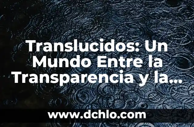 Los 10 Países Más Pobres del Mundo: Una Realidad Impactante 5 Translucidos: Un Mundo Entre la Transparencia y la Opacidad