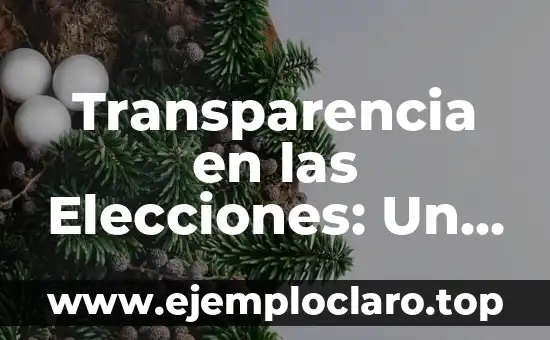 Transparencia en las Elecciones: Un Concepto Fundamental