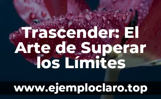 El Arte de la Análisis Literaria 5 Trascender: El Arte de Superar los Límites