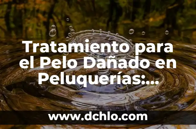 Mascara de Cebolla para el Cabello: Descubre los Beneficios para tu Pelo 5 Tratamiento para el Pelo Dañado en Peluquerías: Soluciones para Revitalizar su Cabello