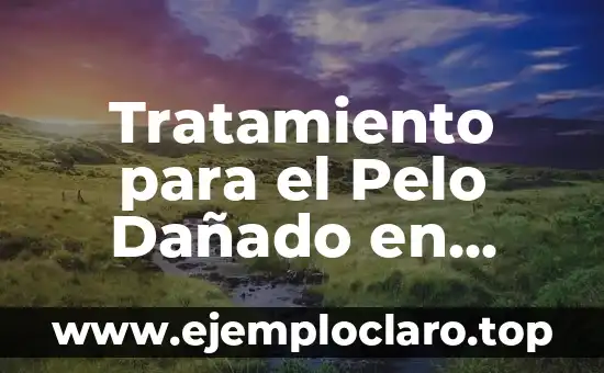 Tratamiento para el Pelo Dañado en Peluquerías: Soluciones para Revitalizar su Cabello