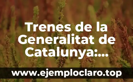 Trenes de la Generalitat de Catalunya: Todo lo que Necesita Saber
