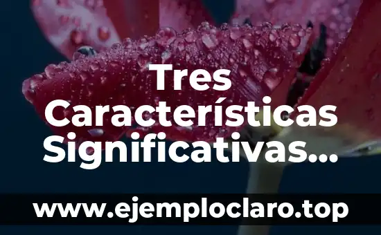 ¿Qué es la arista de un cubo? Definición y características 6 Tres Características Significativas de Solidaridad
