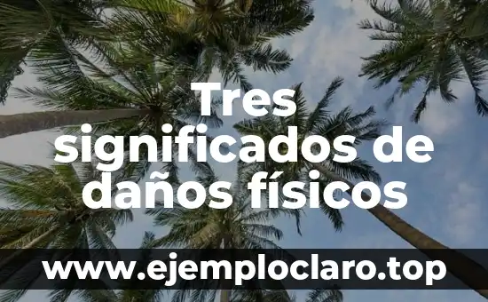 Tres significados de daños físicos