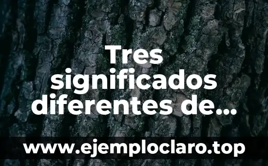 Tipos de Uñas y sus Significados: Un Viaje por la Estética y la Personalidad 8 Tres significados diferentes de personalidad