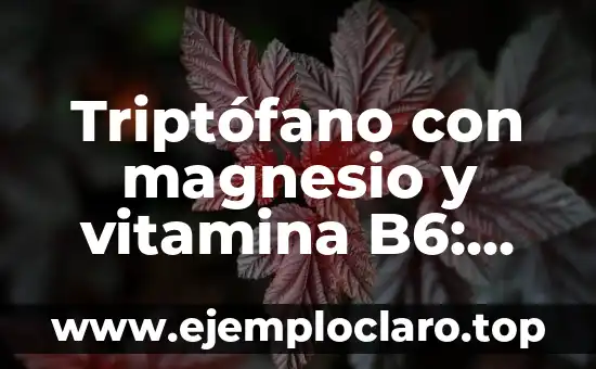 Sulfato de Magnesio para Qué Sirve: Descubre sus Usos y Beneficios 8 Triptófano con magnesio y vitamina B6: Efectos Secundarios y Beneficios