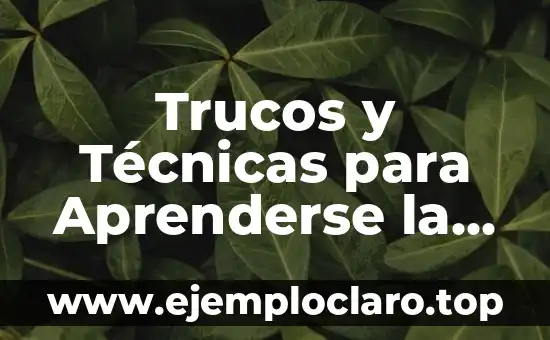 Bit Menos Significativo y Tabla de Verdad: Conceptos Fundamentales 8 Trucos y Técnicas para Aprenderse la Tabla Periódica de los Elementos