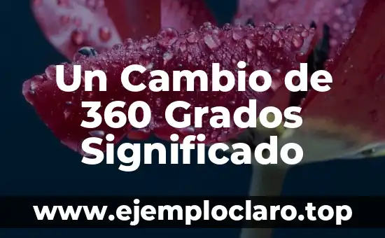Un Cambio de 360 Grados Significado