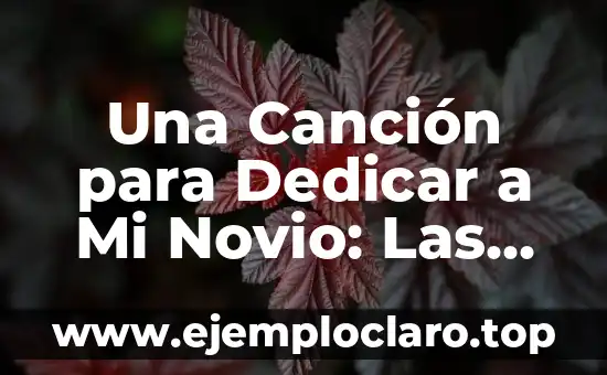 Ideas Originales de Regalos para Mi Novio: Descubre lo Mejor 4 Una Canción para Dedicar a Mi Novio: Las Mejores Opciones Románticas