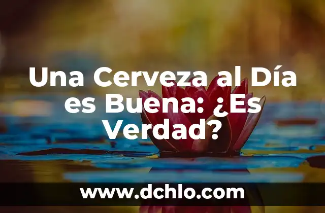 La Zanahoria es Buena para los Perros: Descubre los Beneficios 7 Una Cerveza al Día es Buena: ¿Es Verdad?