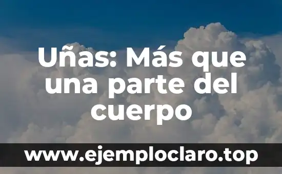 Uñas: Más que una parte del cuerpo