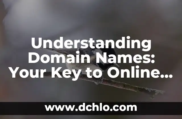Understanding Sostenimiento 5 Understanding Domain Names: Your Key to Online Presence