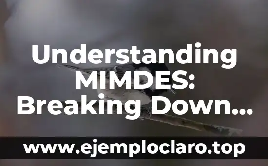 Understanding MIMDES: Breaking Down the Acronym