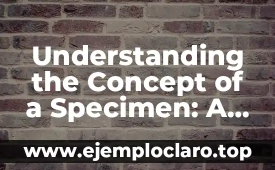 Understanding SWF: A Comprehensive Guide 3 Understanding the Concept of a Specimen: A Comprehensive Guide