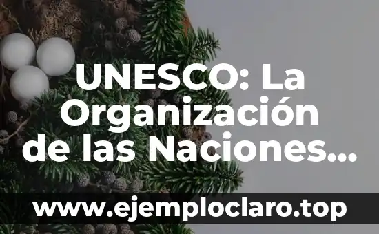 UNESCO: La Organización de las Naciones Unidas para la Educación, la Ciencia y la Cultura