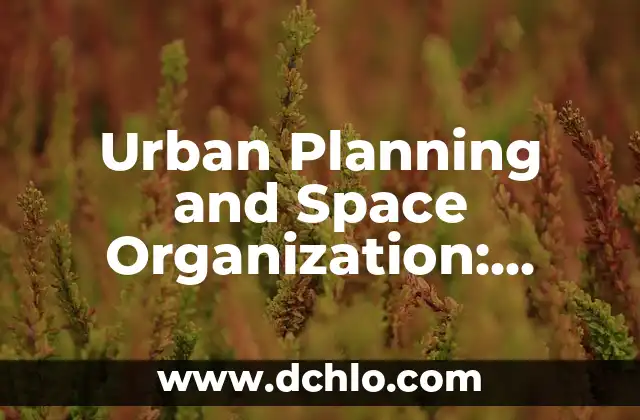 Significado de Space 4 Urban Planning and Space Organization: Shaping Sustainable Cities