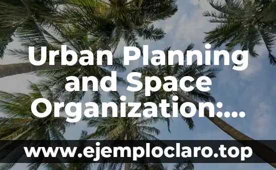 Urban Planning and Space Organization: Shaping Sustainable Cities