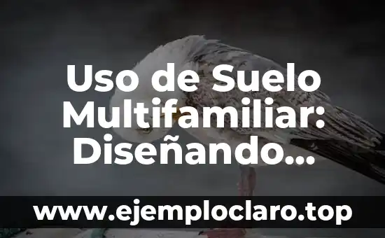 Comunidades Virtuales: Un Nuevo Paradigma Social 7 Uso de Suelo Multifamiliar: Diseñando Espacios para Comunidades