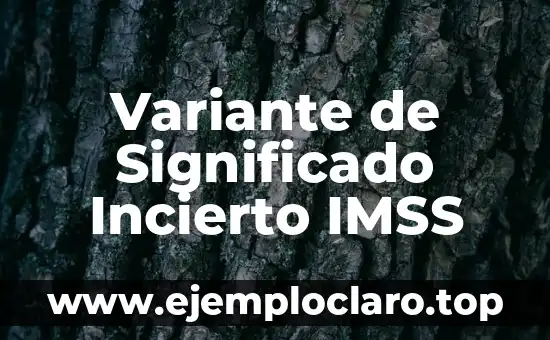 Variante de Significado Incierto IMSS