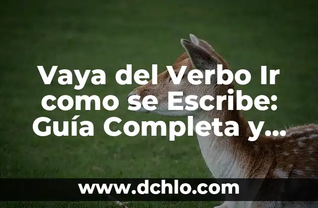 Convertir Word a PDF en el ordenador: Guía detallada y completa 8 Vaya del Verbo Ir como se Escribe: Guía Completa y Detallada