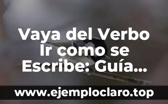 Vaya del Verbo Ir como se Escribe: Guía Completa y Detallada