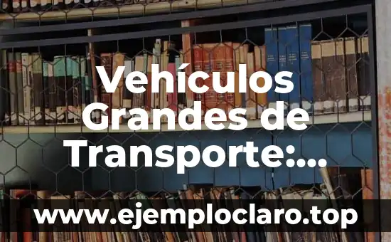 Cómo hacer el abono transporte Madrid 7 Vehículos Grandes de Transporte: Guía Completa