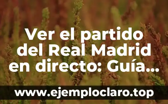 Ver el partido del Real Madrid en directo: Guía definitiva