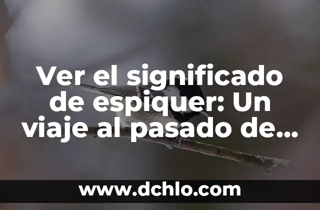 La Ilustración, un Faro del Conocimiento 7 Ver el significado de espiquer: Un viaje al pasado de la Ilustración española